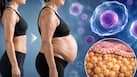 Ageing and belly fat: Scientists discover stem cells that may explain why belly fat increases with age