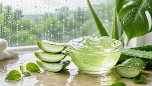 5 aloe vera gel hacks to beat monsoon skin problems