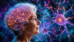 Some brains outsmart alzheimer's: Study suggests rare immature neurons could preserve memory despite disease