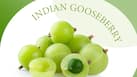 Amla health benefits explained: Does eating Indian Gooseberry daily help improve vision?