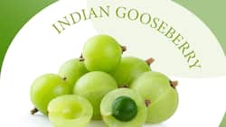 Amla health benefits explained: Does eating Indian Gooseberry daily help improve vision?