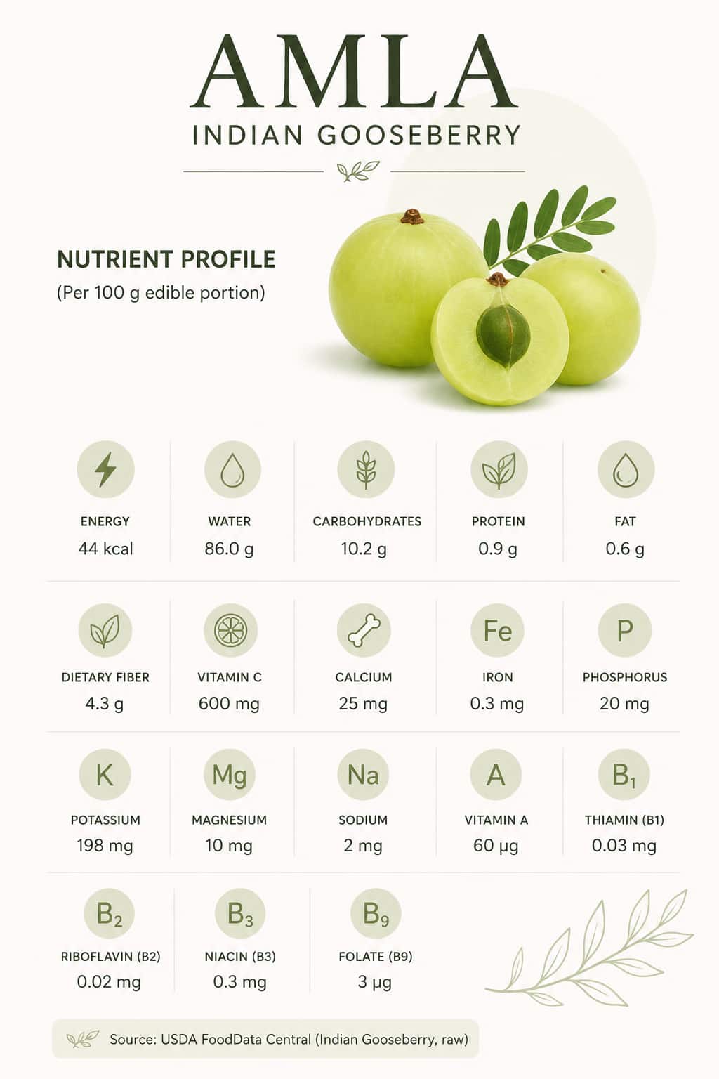 Amla nutrient profile.