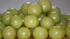 Amla explained: Benefits, nutrition, uses, side effects and who should avoid it