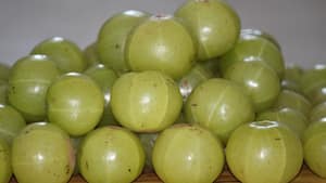 Amla explained: Benefits, nutrition, uses, side effects and who should avoid it
