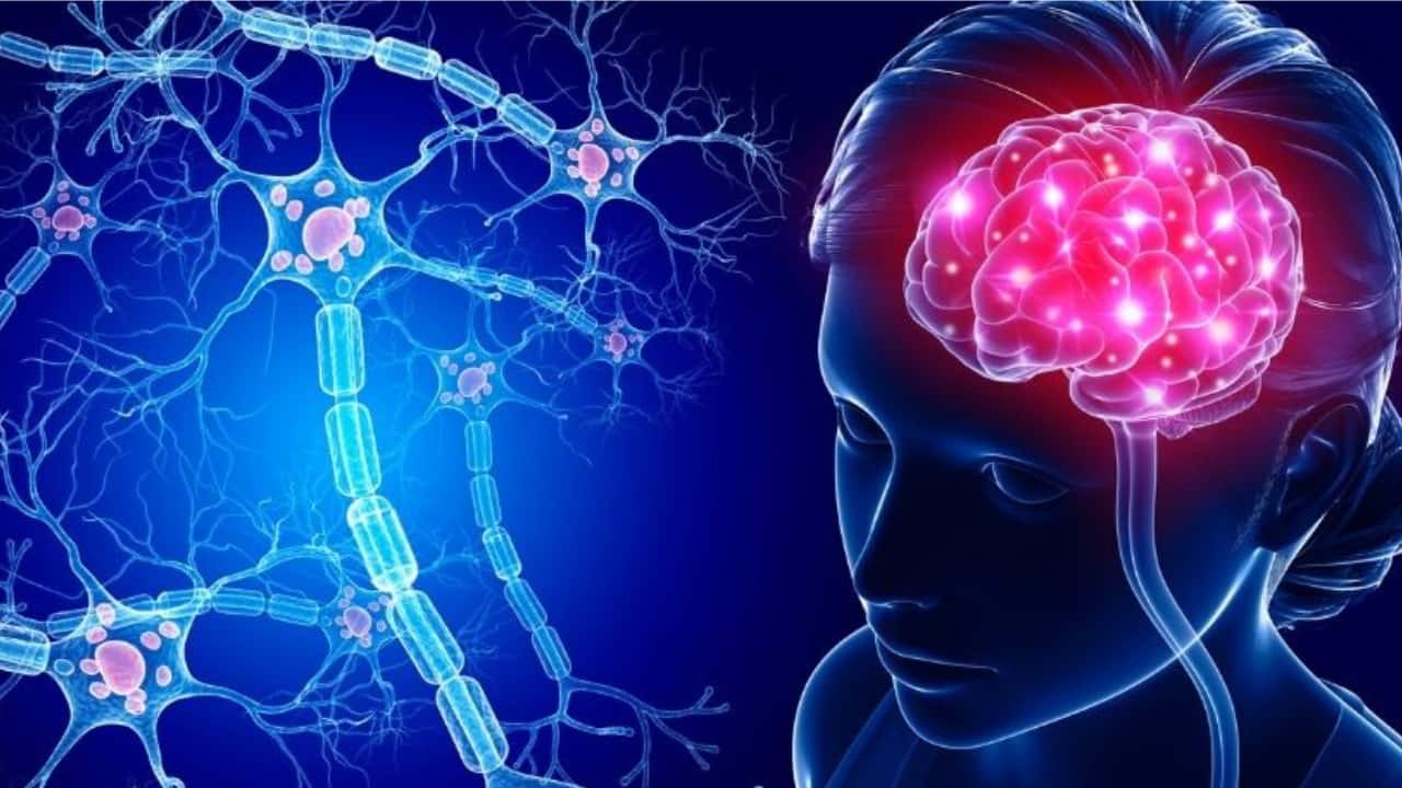 शरीर सही रहे इसके लिए दिमाग का स्वस्थ रहना जरूरी है।