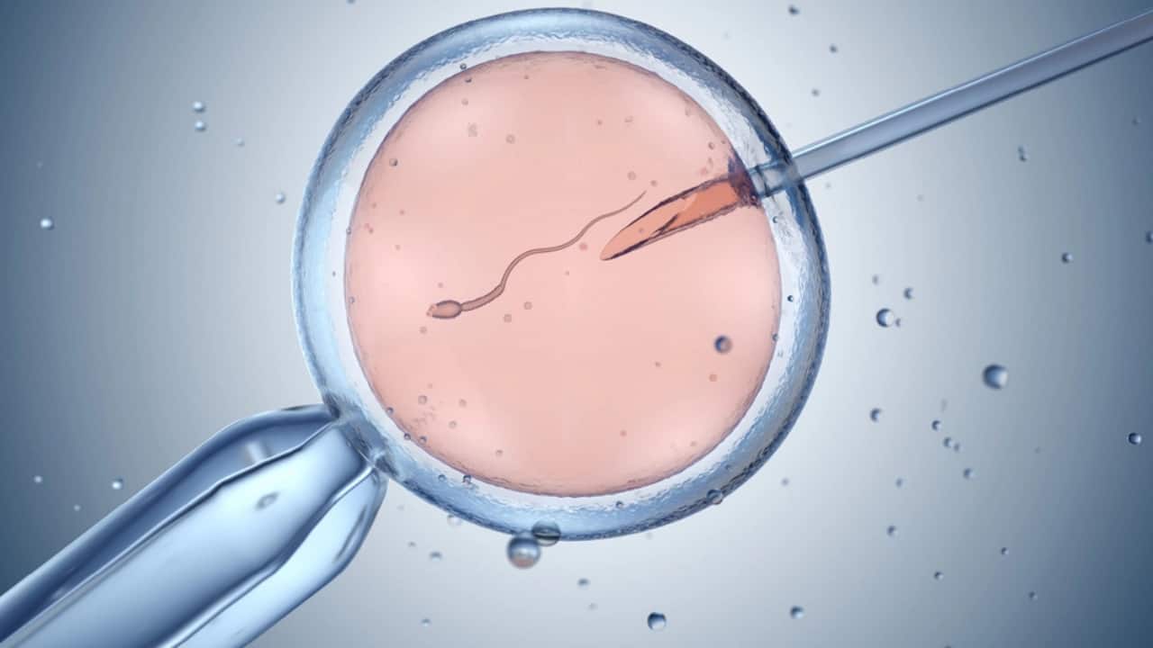 IVF एक लंबा प्रोसेस है।