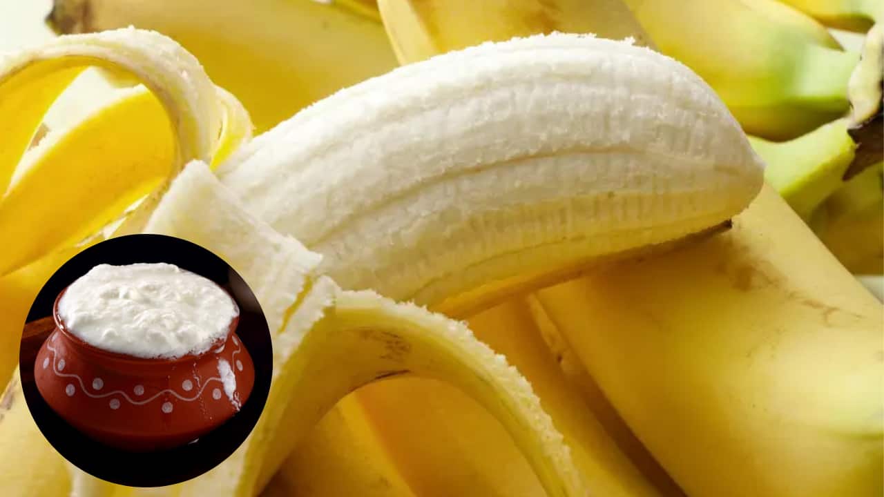 केले और दही का मास्क खुजली को दूर करता है।