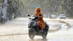 मानसून में बीमारियों से बचने के लिए क्या करें? आयुष मंत्रालय ने शेयर किए टिप्स