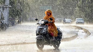 मानसून में बीमारियों से बचने के लिए क्या करें? आयुष मंत्रालय ने शेयर किए टिप्स
