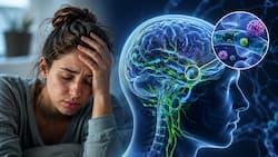 Brain's waste-clearing system may be driving chronic fatigue syndrome, study finds