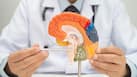 World Brain Day 2026: Your 20s are the best time to invest in brain health, doctors share small habits with lifelong benefits