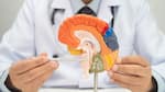 World Brain Day 2026: Your 20s are the best time to invest in brain health, doctors share small habits with lifelong benefits