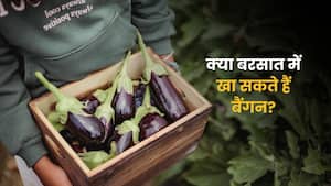 मानसून में बैंगन खाना चाहिए या नहीं? जानें डायटीशियन की क्या है सलाह