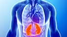 What is cardiovascular-kidney-metabolic (CKM) syndrome? Symptoms, causes, risk factors and new AHA guidelines explained