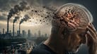 Air pollution can cause severe brain ageing: Experts warn of a silent epidemic