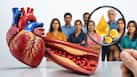 ICMR study reveals 9 in 10 Indian adults have abnormal cholesterol levels, raising heart disease risk