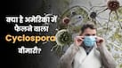 अमेरिका में बढ़ रहे Cyclospora के मामले, जानें सतर्क रहना क्यों है जरूरी