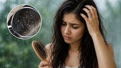 मानसून में बाल झड़ना और डैंड्रफ की समस्या क्यों बढ़ जाती है? इस तरह बालों को रखें सुरक्षित