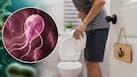 Parasite causing 'explosive diarrhoea' is sickening Americans: Dos and don'ts