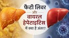 फैटी लिवर या वायरल हेपेटाइटिस? दोनों में अंतर समझना क्यों है जरूरी, एक्सपर्ट से जानें पूरी जानकारी