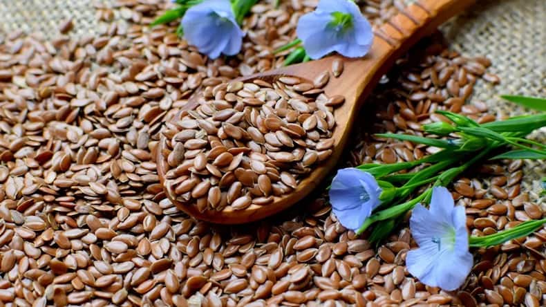 5 healthy seeds to support hair growth naturally