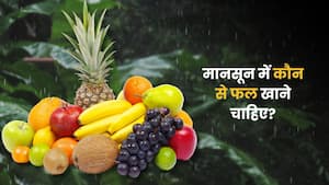 मानसून में कौन से फल खाने चाहिए? ये 5 फल बढ़ा सकती है आपकी इम्यूनिटी