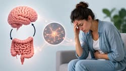 Gut-Brain connection explained: Expert explains 4 ways stress can harm your digestive health