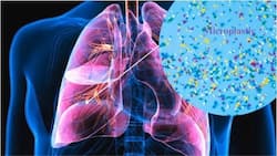 How much microplastic are you breathing every day? What studies reveal about the hidden health risks