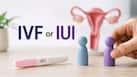 World IVF Day 2026: IVF or IUI? Expert explains which fertility treatment is right for you