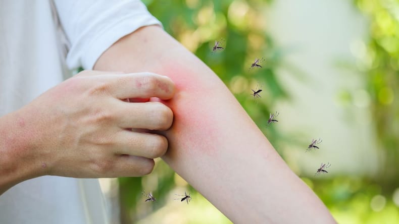 6 things to know about India’s first dengue vaccine