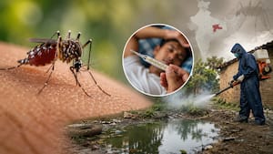 Jharkhand reports 16,700+ malaria cases in 6 months: Causes, symptoms and prevention