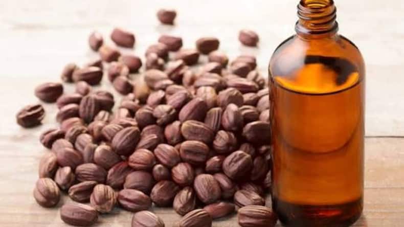 5 hair oils for frizzy hair in monsoon