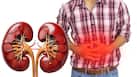 Kidney damage symptoms: 8 warning signs your renal is in danger due to heat and dehydration