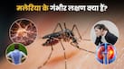 मलेरिया के गंभीर लक्षण क्या हैं? कब मेडिकल इमरजेंसी की जरूरत पड़ती है