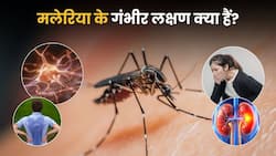 Malaria Explainer : मलेरिया के गंभीर लक्षण क्या हैं? कब मेडिकल इमरजेंसी की जरूरत पड़ती है