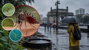 Mumbai monsoon health alert: Dengue, malaria and leptospirosis cases surge, BMC issues urgent travel advisory and safety precautions
