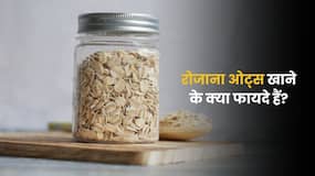 क्या हर दिन ओट्स खाना सही है? जानिए किन लोगों को हो सकता है नुकसान
