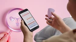 Menstrual Health in the Digital Age: How AI Is Changing Reproductive Care
