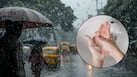 मानसून में हाइजीन का रखें खास ध्यान, वरना बढ़ सकता है इंफेक्शन का खतरा
