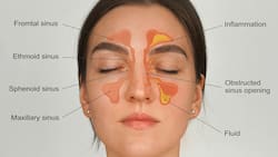 No more stuffy nose: 5 smart ways to prevent sinus issues