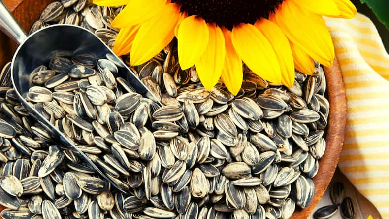 5 healthy seeds to support hair growth naturally