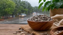 5 reasons to add sunflower seeds to your monsoon diet