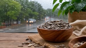 5 reasons to add sunflower seeds to your monsoon diet