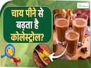 चाय पीने से कैसे बढ़ता है बैड कोलेस्ट्रोल? जानें क्या कहता है साइंस