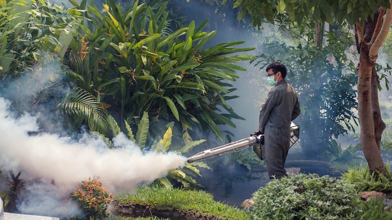 6 things to know about India’s first dengue vaccine