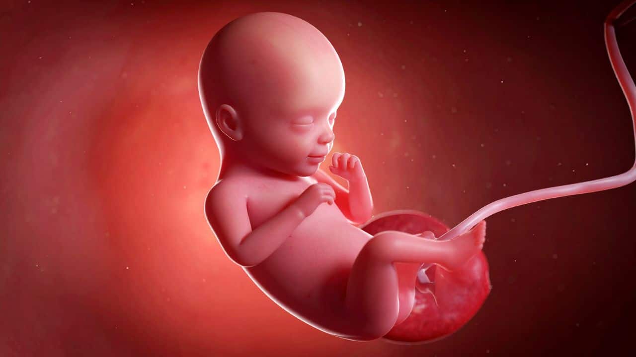 Uterus Cleaning