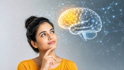 क्या हम अपने दिमाग का सिर्फ 10 प्रतिशत हिस्सा ही इस्तेमाल करते हैं? न्यूरोलॉजिस्ट से जानें सच्चाई