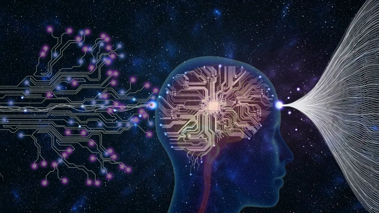 brain death