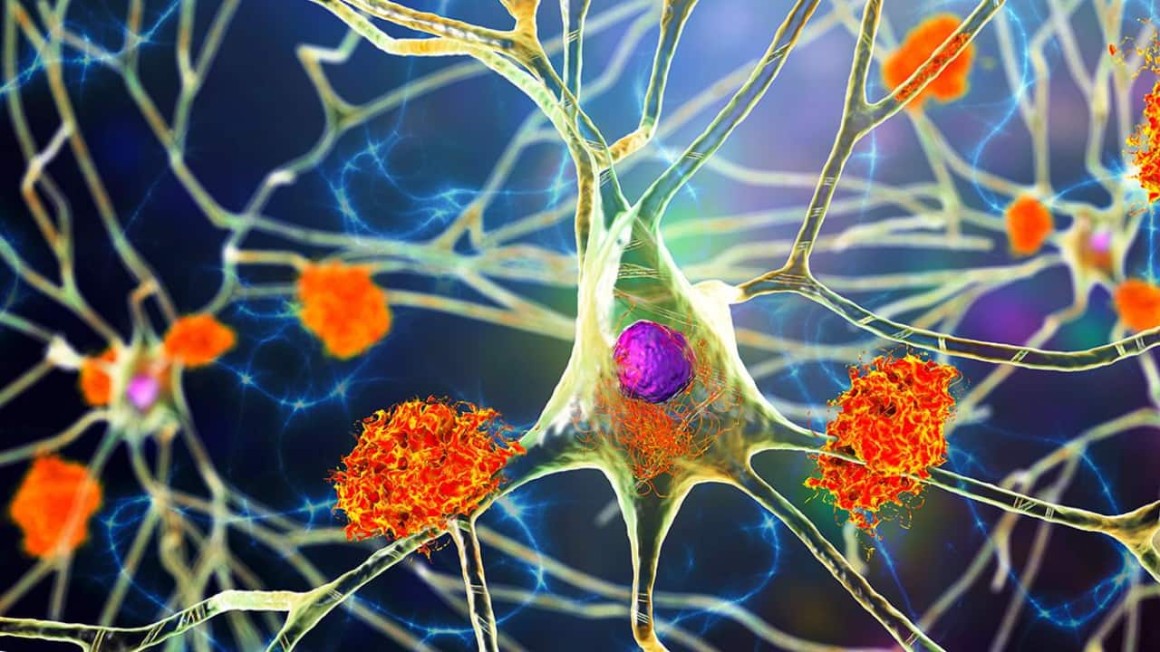 cells damage