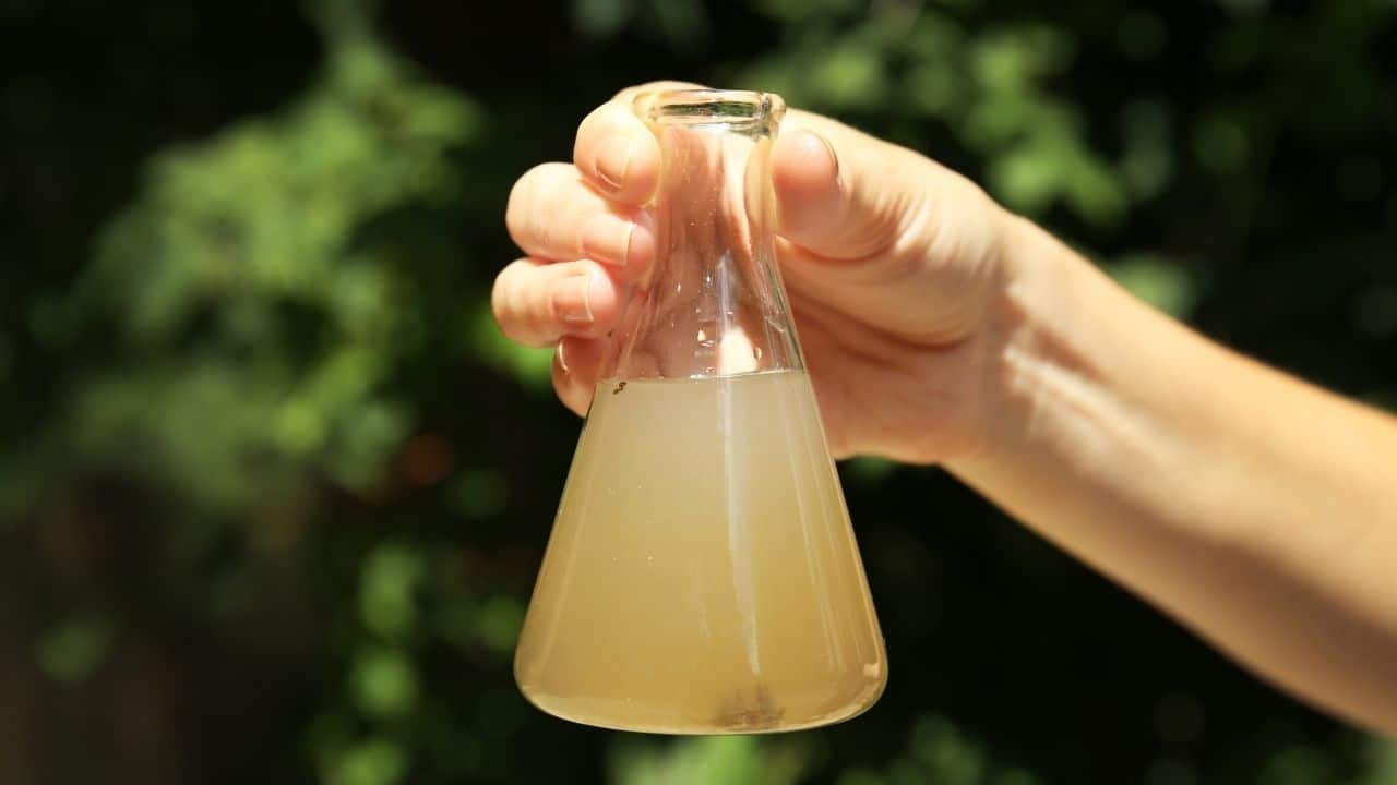 contaminated-water